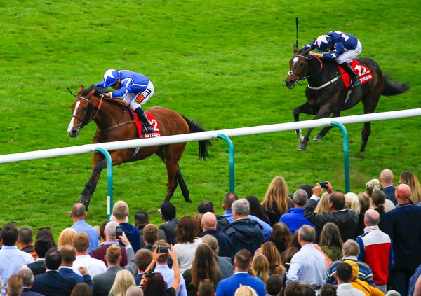 withhold (left) winning the 2017 Cesarewitch Handicap at Newmarket.