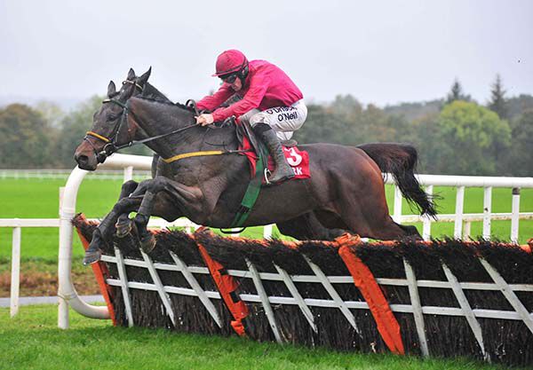 Moyross pictured in action over hurdles