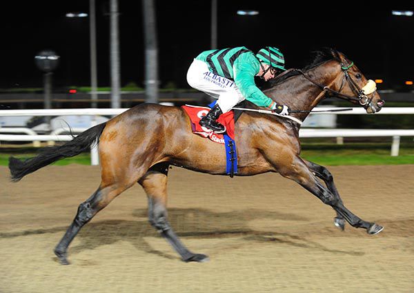 Massif Central - due to compete at Meydan today