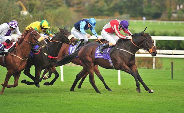 Grand Partner toughs it out well at Leopardstown under Billy Lee