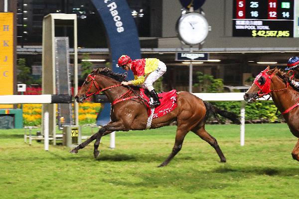Starlight lands a hat-trick of wins this term at Happy Valley last start.