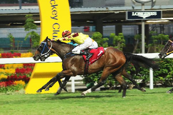 Southern Legend scores a strong last-to-first win in a Class 2 race over 1200m at Happy Valley last start.