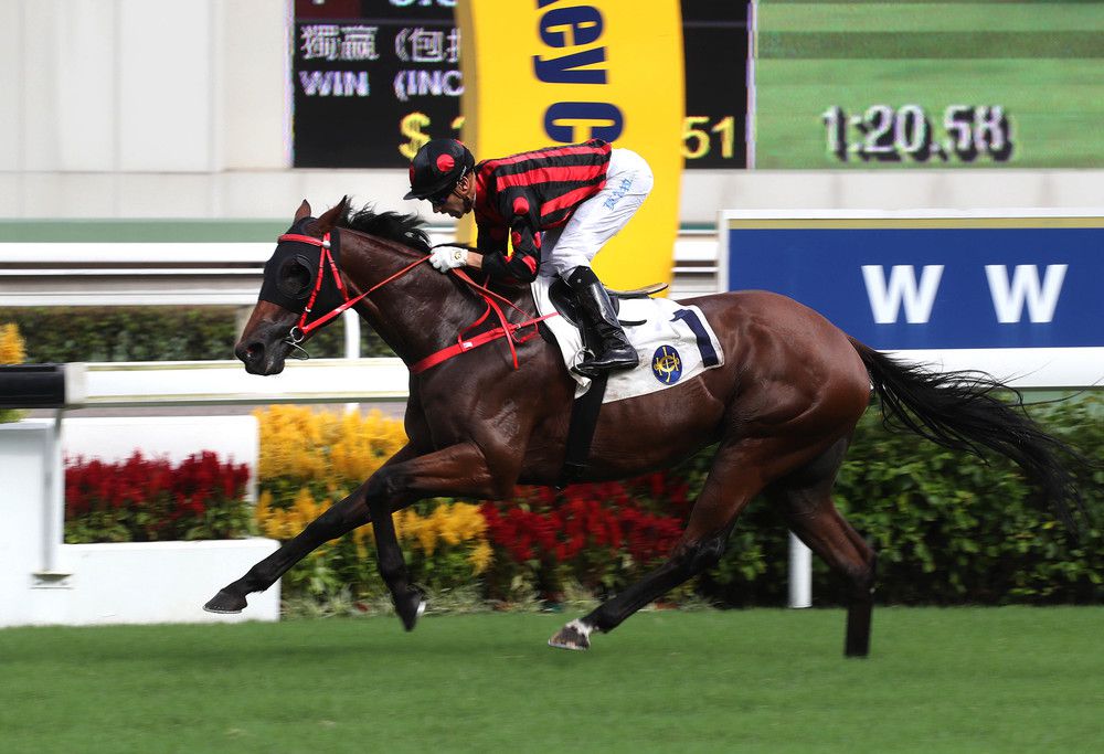 Thewizardofoz lands last season's G3 Premier Cup in style with Joao Moreira in the saddle.
