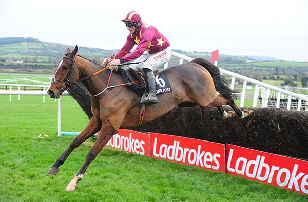 Monalee powers home in Punchestown