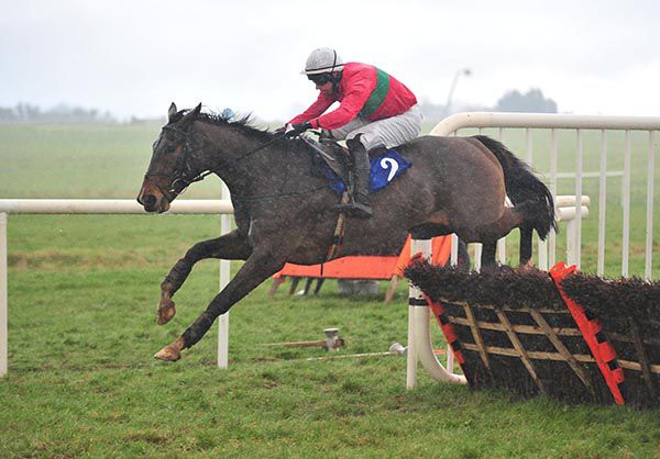 Highandmighty and Paddy Kennedy jumping the last