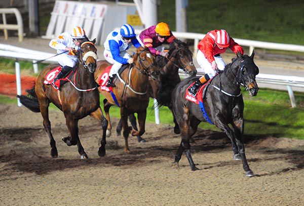 Peace Officer held all comers under Oisin Orr in Dundalk's 3rd