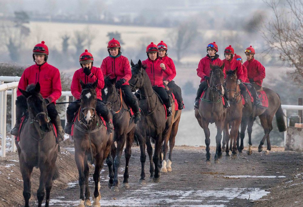 Jessica Harrington's horses at the Launch of the Leopardstown Christmas Festival. Credit  INPHO Morgan Treacy