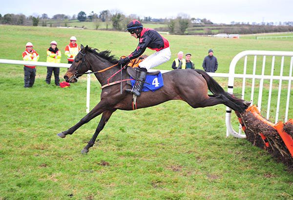 Killahara Castle and Martin Burke pictured on their way to victory