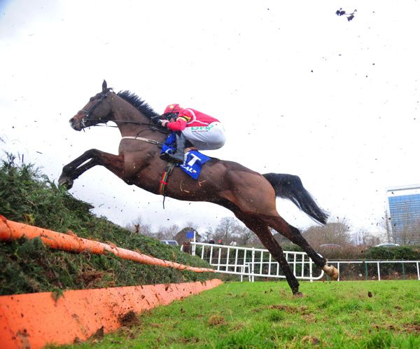 Patricks Park in winning action at Leopardstown earlier this year