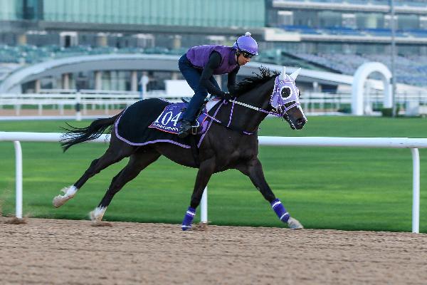 Classic Emperor works over Meydan's dirt track on Monday.
