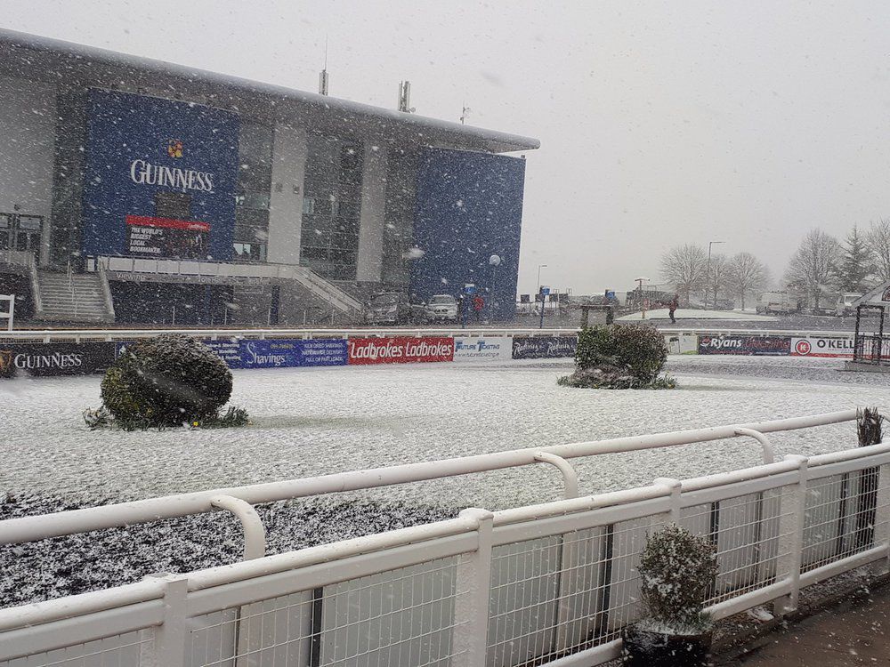 Limerick's parade ring this afternoon