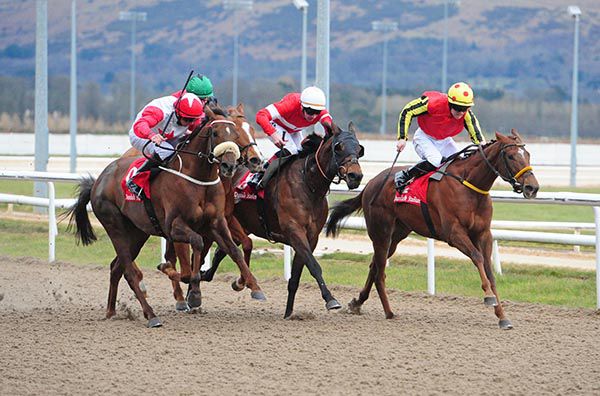 Reddot Express (noseband, nearside) comes to win the first at Dundalk under Conor Hoban 