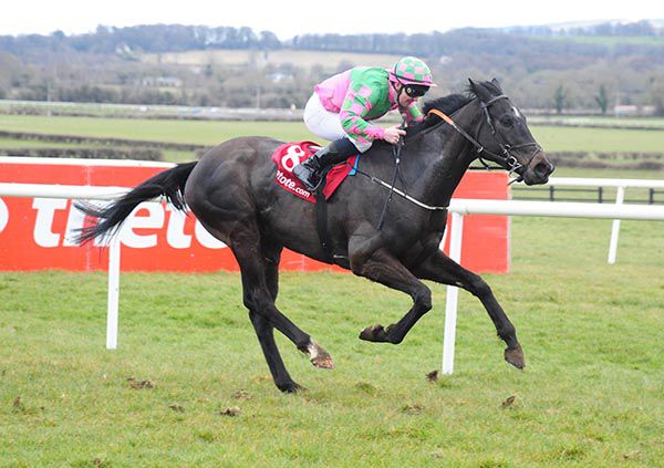 On The Go Again comes home in front in the big one at Naas, the Tote Irish Lincolnshire, under Gary Carroll