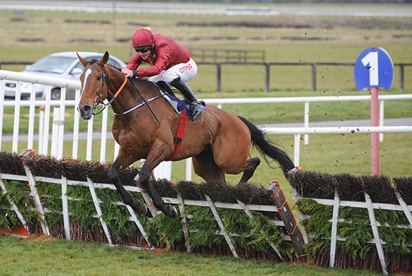 Pallasator (Davy Russell) overcomes a mistake at the last to win the Underwriting Exchange Novice Hurdle