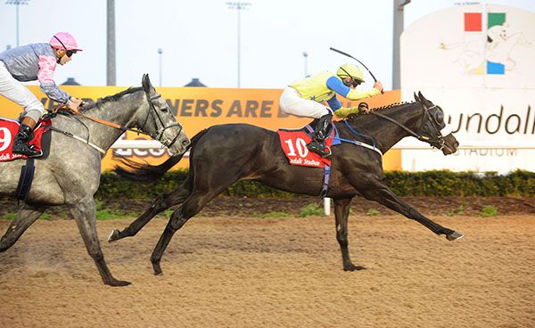 Nightly Wailing and Rory Cleary (right) bid for their third win at Dundalk in the first division of the 2m handicap 