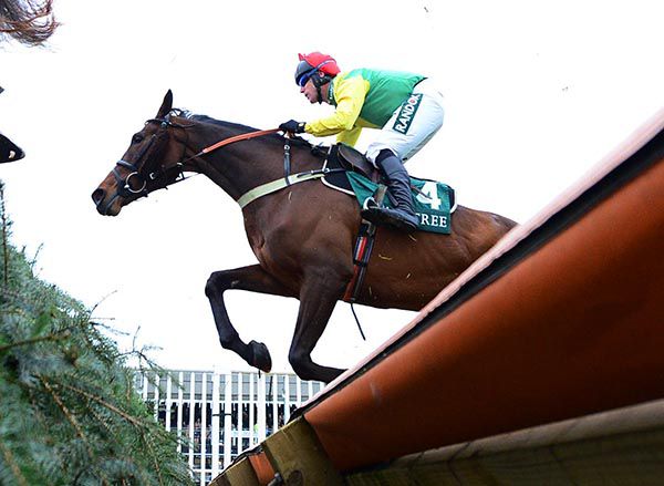 Finian's Oscar a possible for Punchestown