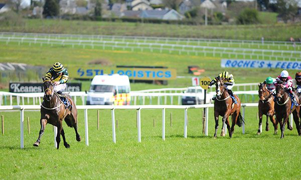 Drombeg Dream and Shane Foley are well clear