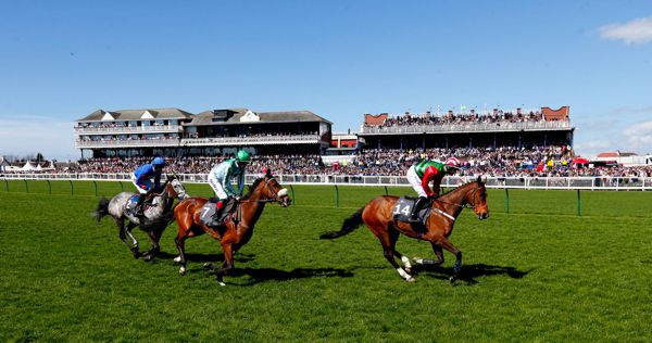 Ayr racecourse will host a meeting on June 22