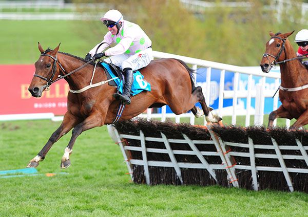 Saldier and Robbie Power lead them home in Punchestown