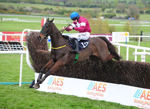 Wounded Warrior puts them to the sword in Punchestown