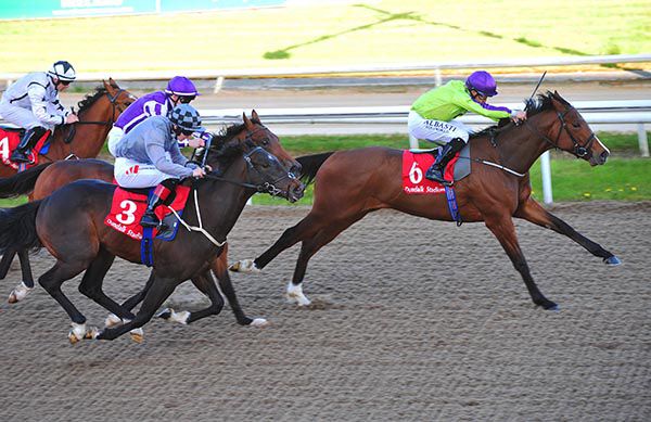 Chicas Amigas pictured on her way to victory at Dundalk