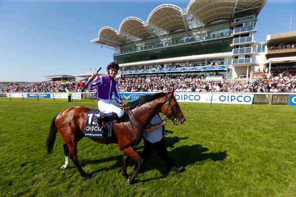 Saxon Warrio after winning<br />Qipco 2000 Guineas Stakes