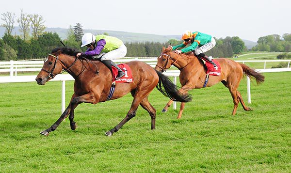 Bloomfield beating Glamorous Approach at Gowran Park last month
