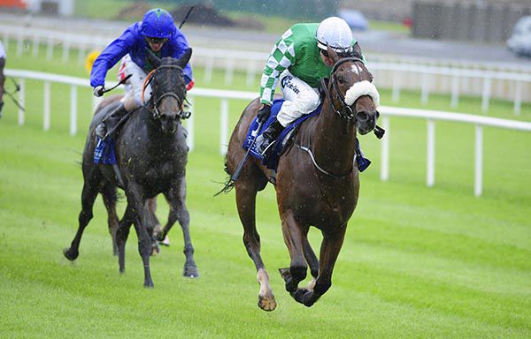 Dandys Ocean and Colm O'Donoghue win the opening race of the season at the Curragh