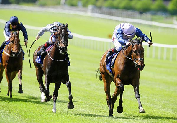 Ardhoomey (right) is ridden out by Colin Keane to beat Gorane