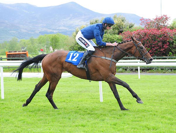 Yukon Lil eases to victory under Patrick Mullins