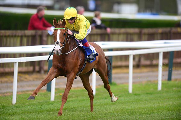 Mm Sixsevei comes home well clear in Tipperary