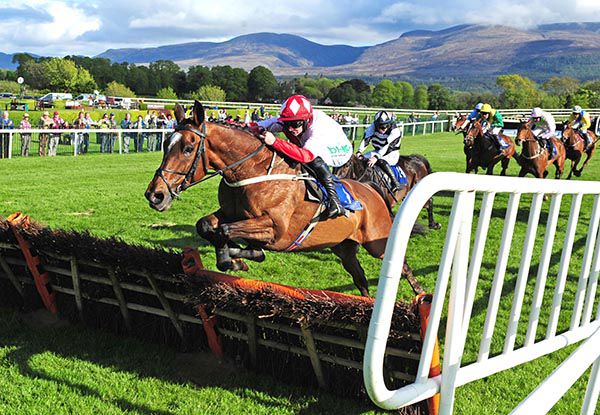 Benkei in charge at the last in Killarney