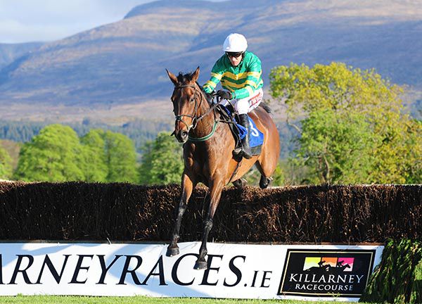 Ballyoisin (Barry Geraghty) winning at Killarney last month