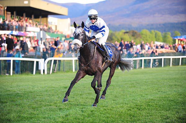 Raya Time impresses in the ladies' bumper