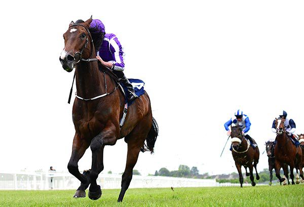 Sergei Prokofiev (Ryan Moore) is well clear at the line in the Rochestown Stakes