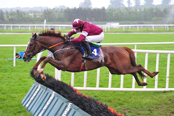 Nick Lost in form at Limerick