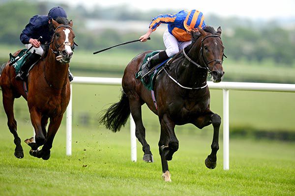 Sioux Nation stretches clear for Ryan Moore in the featured Goffs Lacken Stakes