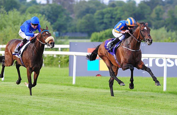 Order Of St George (right) gets the better of Twilight Payment