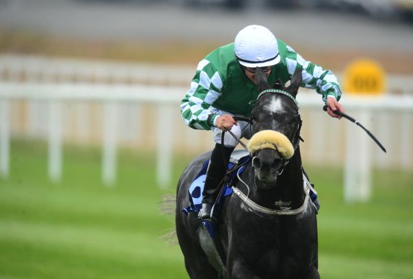 Platinum Warrior and Shane Foley (seen winning at the Curragh)