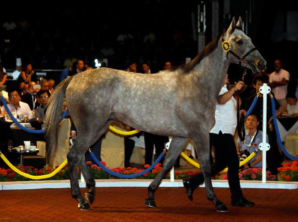 Lot 9 purchased by Evergreen Syndicate is knocked down for HK$2.8 million (€307,682)