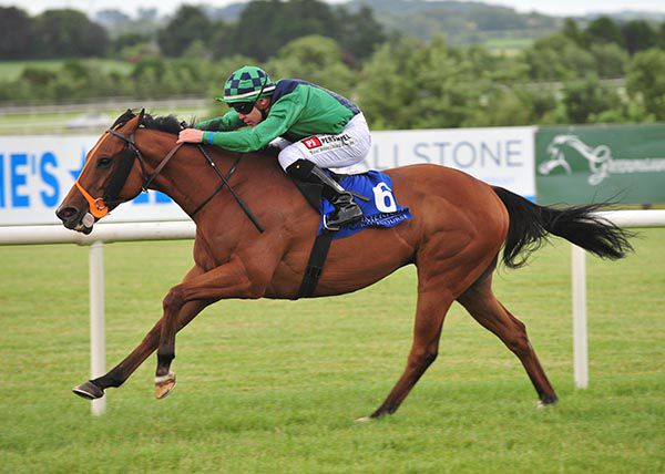 Have A Nice Day (Leigh Roche) returns to form at Limerick