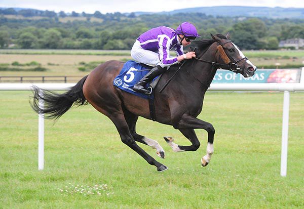 Darkness Falls and Donnacha O'Brien pictured on their way to victory