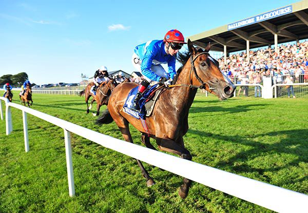 Decision Time leads them home in Ballinrobe
