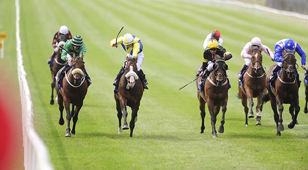 Band Of Outlaws and Wayne Lordan (2nd left) win  from Tony The Gent (right) Massif Central (left) and Atlas (centre) 
