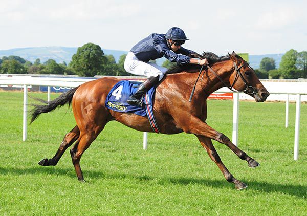 Cape Of Good Hope and Donnacha O'Brien pictured on their way to victory