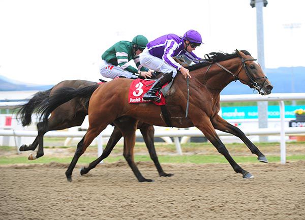 Indianapolis pictured on his way to victory at Dundalk