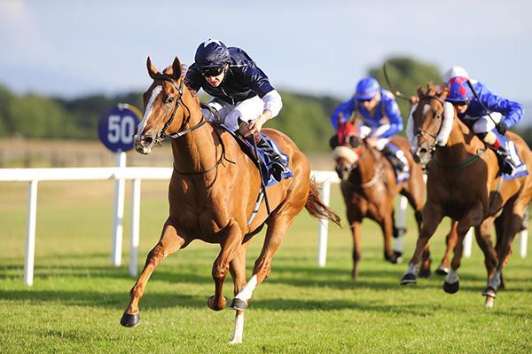 Focus Of Attention and Donnacha O'Brien