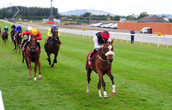 Falcon Eight leads them home at the Curragh