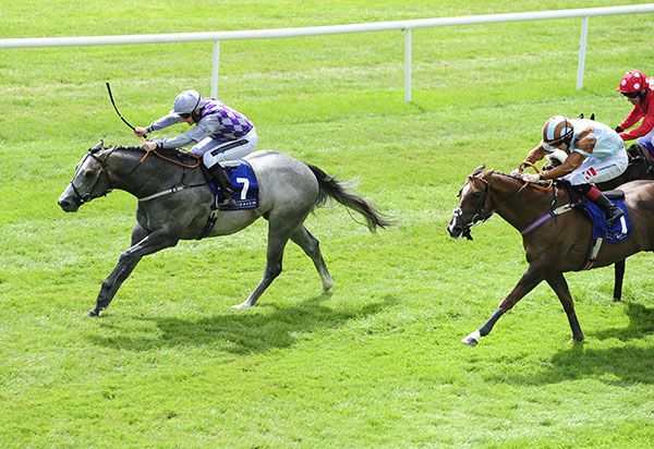 PJ McDonald winning the Group 2 Sapphire Stakes on Havana Grey at the Curragh in 2018