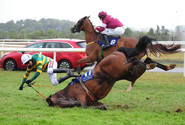 Thankfully Wigs On The Green and Barry Geraghty were okay after this fall at the last, with winner Kamil on the inside